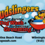 Sudslingers Self Services Dog Wash